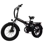 Baolujie DZ-2002 Electric Bike Baolujie DZ-2002 Electric Bike
