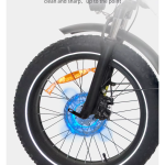 Baolujie DZ-2030 Electric Bike Baolujie DZ-2030 Electric Bike