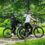 YG90A Electric Bike