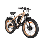 Baolujie DP-2602 Electric Bike Baolujie DP-2602 Electric Bike