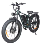 Baolujie DP-2603 Full-Suspension Electric Bike Baolujie DP-2603 Full-Suspension Electric Bike