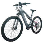 YG90A Electric Bike