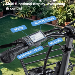 RANDRIDE YA20 Electric Bike RANDRIDE YA20 Electric Bike