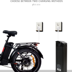 Baolujie DZ-2030 Electric Bike Baolujie DZ-2030 Electric Bike