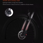 YG90A Electric Bike