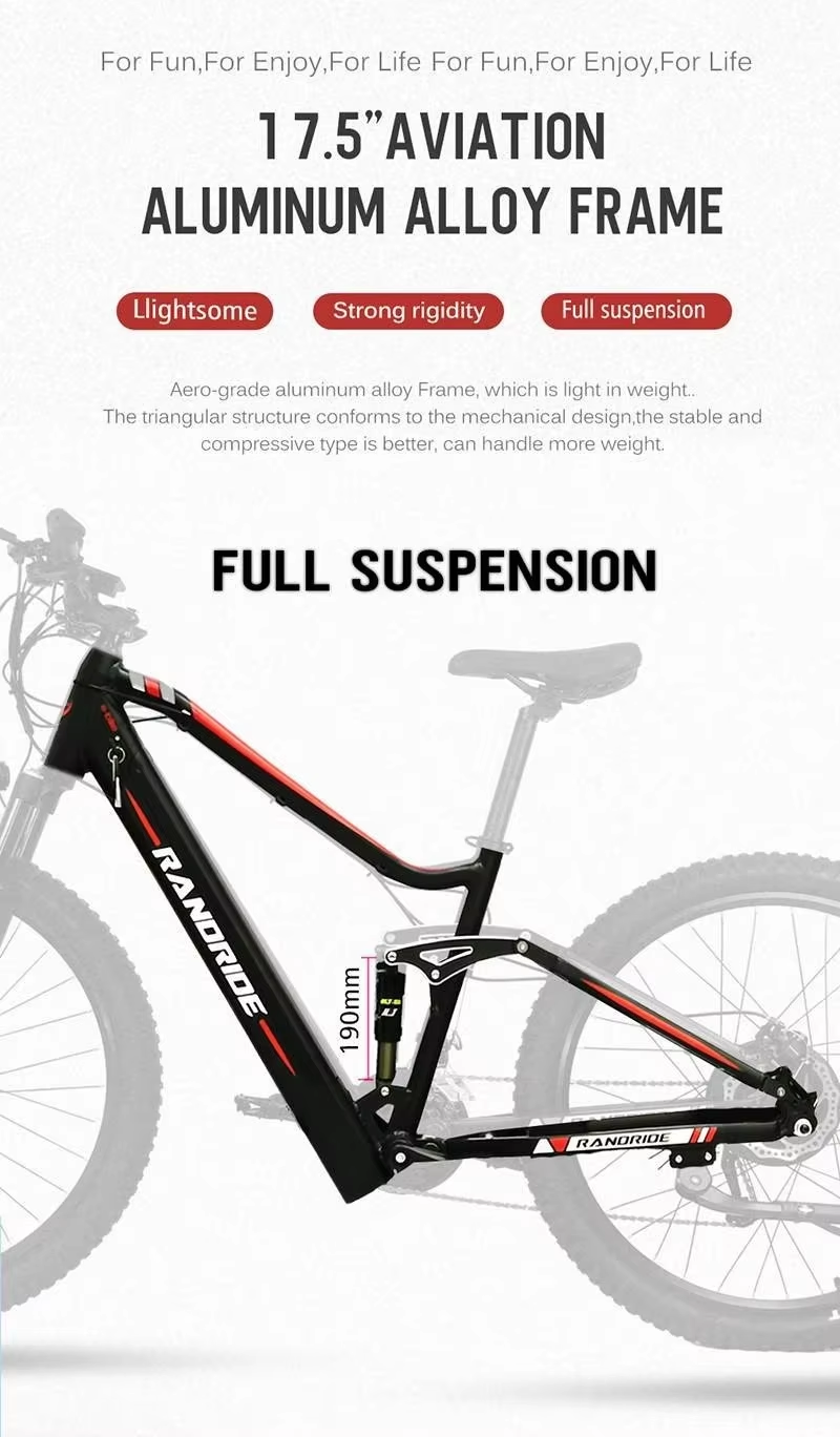 RANDRIDE YS90B Electric Bike RANDRIDE YS90B Electric Bike
