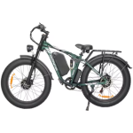 Baolujie DP-2603 Full-Suspension Electric Bike Baolujie DP-2603 Full-Suspension Electric Bike