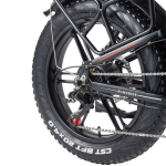 RANDRIDE YX20M-2 Electric Bike RANDRIDE YX20M-2 Electric Bike