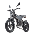 RANDRIDE DM711 Electric Bike RANDRIDE DM711 Electric Bike