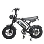 Baolujie F2 Electric Mobility Vehicle Baolujie F2 Electric Mobility Vehicle