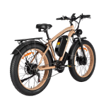 Baolujie DP-2602 Electric Bike Baolujie DP-2602 Electric Bike