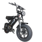 Baolujie F2 Electric Mobility Vehicle Baolujie F2 Electric Mobility Vehicle