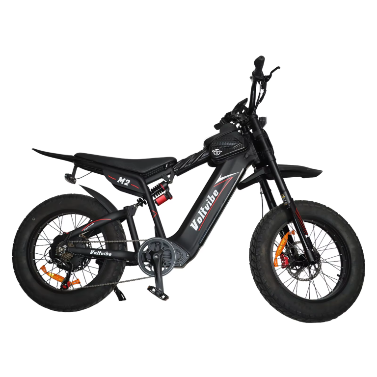 Baolujie M2 Electric Mobility Vehicle