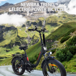 Baolujie DZ-2030 Electric Bike Baolujie DZ-2030 Electric Bike