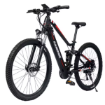 RANDRIDE YS90B Electric Bike RANDRIDE YS90B Electric Bike