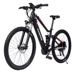 RANDRIDE YS90B Electric Bike