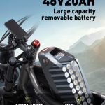 RANDRIDE DM711 Electric Bike RANDRIDE DM711 Electric Bike
