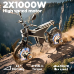 RANDRIDE DM711 Electric Bike RANDRIDE DM711 Electric Bike