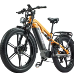 RANDRIDE YX80M-2 Electric Bike RANDRIDE YX80M-2 Electric Bike