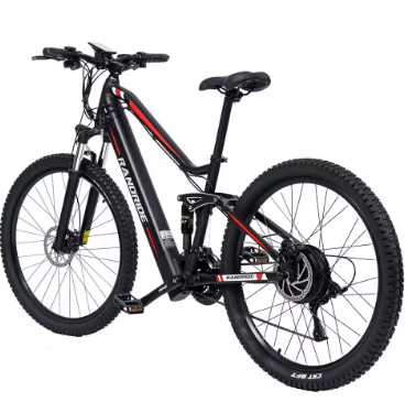 RANDRIDE YS90B Electric Bike RANDRIDE YS90B Electric Bike