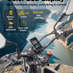 RANDRIDE DM711 Electric Bike RANDRIDE DM711 Electric Bike