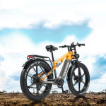 RANDRIDE YX80M-2 Electric Bike RANDRIDE YX80M-2 Electric Bike
