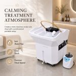Commercial Portable Head Spa Wash Basin